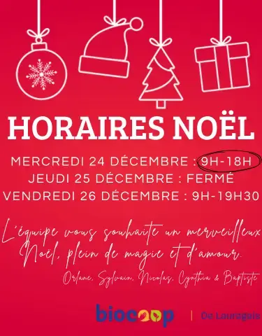 HORAIRES DE NOEL
