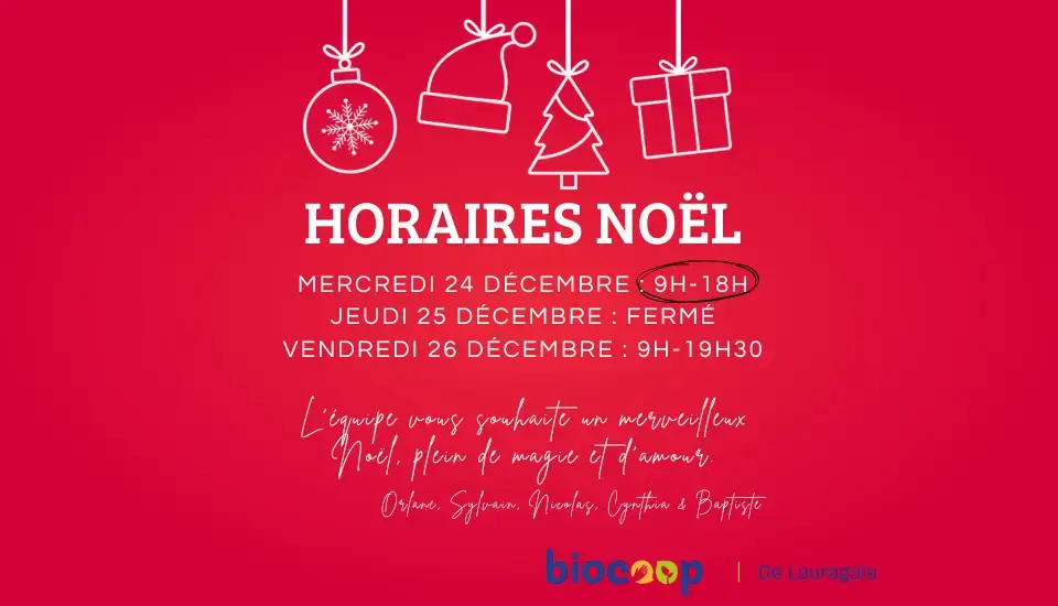 HORAIRES DE NOEL